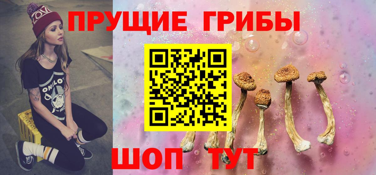 Галлюциногенные грибы Psilocybe  Сердобск 